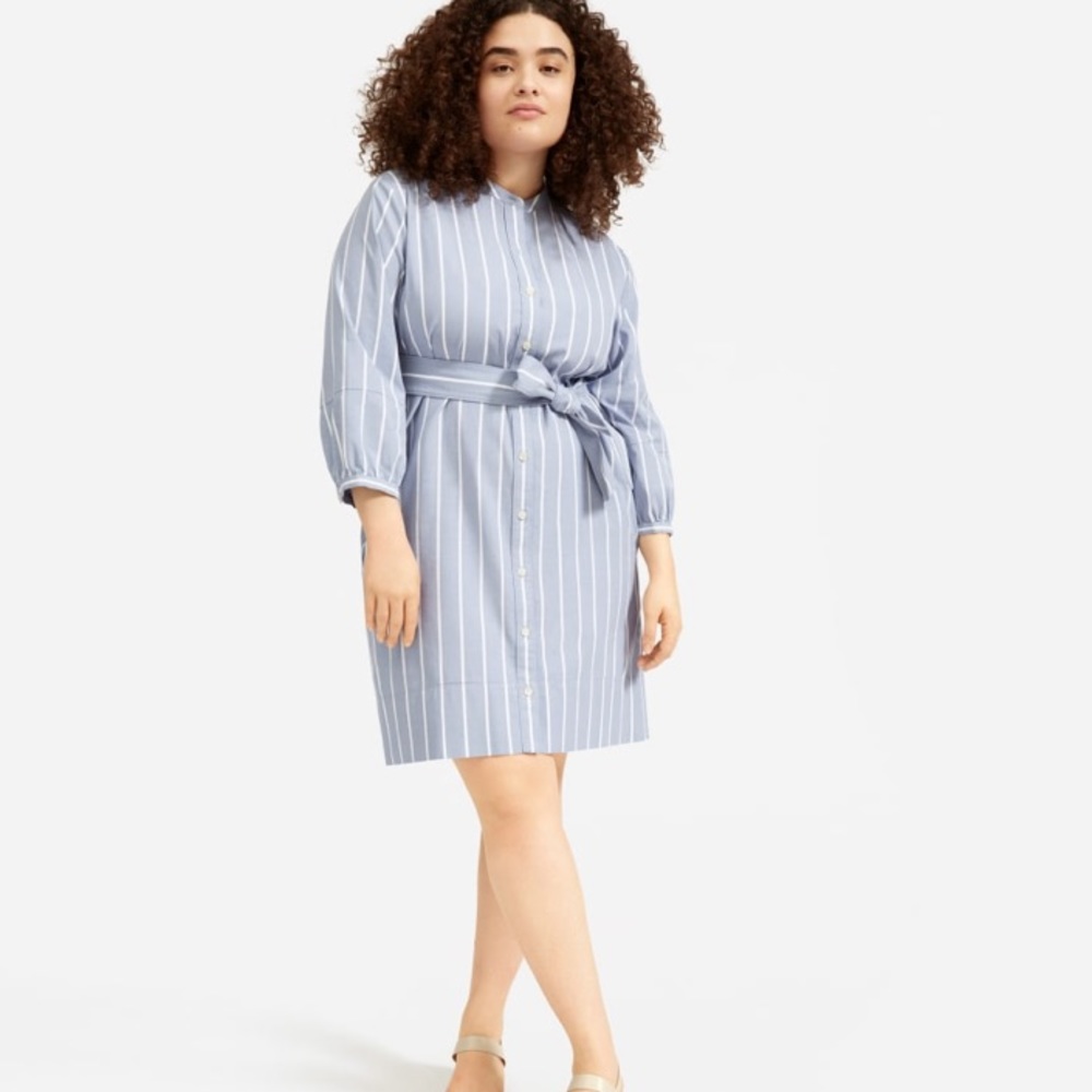 Everlane NWT stripped collarless dress